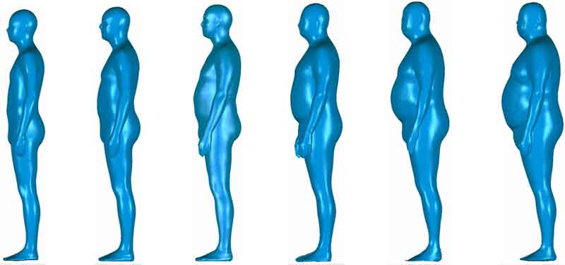 3D body scans images of 6 different men facing to the side
