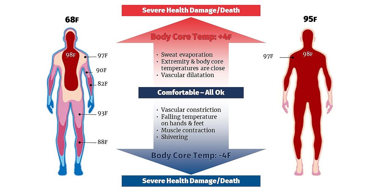 illustration of affects of body core temperature variations on humans