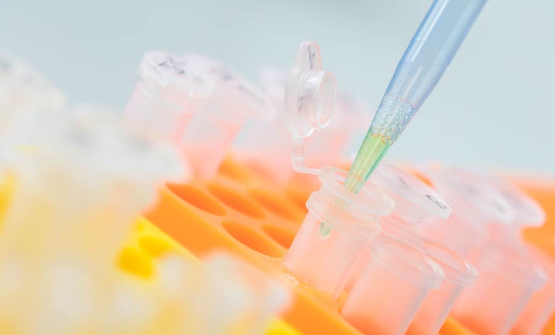 DNA Testing of Cotton for GMO detection test tubes with pipet