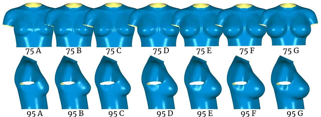 3D Scans for Bra Sizing 3D busgs from size 75A-G and size views from 95A-G