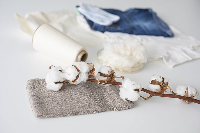 Cotton bolls, towel, cotton fibers, denim, cotton cloth
