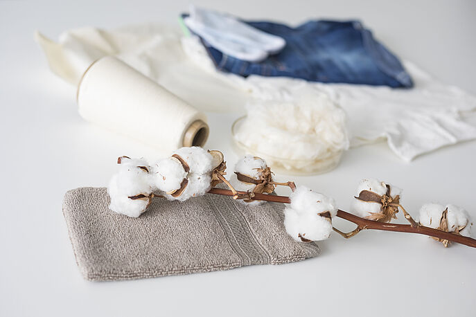 Hohenstein GMO Testing Method Cotton bolls, towel, cotton fibers, denim, cotton cloth