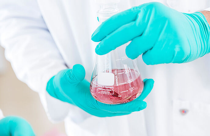 Beaker with textiles and fluid in gloved hand of lab tech