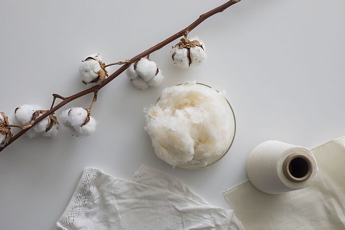 Organic cotton bolls, cotton fibers, cotton yarn, cotton fabric and cotton product