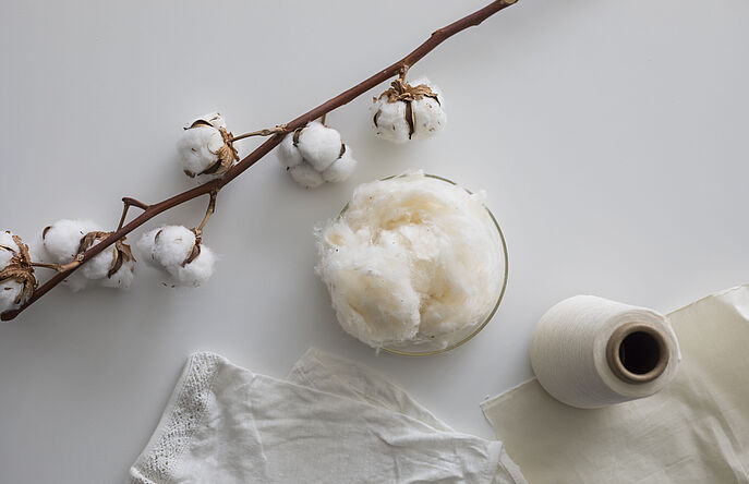 Organic cotton bolls, cotton fibers, cotton yarn, cotton fabric and cotton product