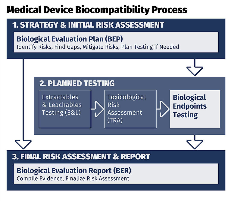 Medical device biocompatibility process flowchart showing BEP strategy, risk-based testing, and BER final risk assessment.