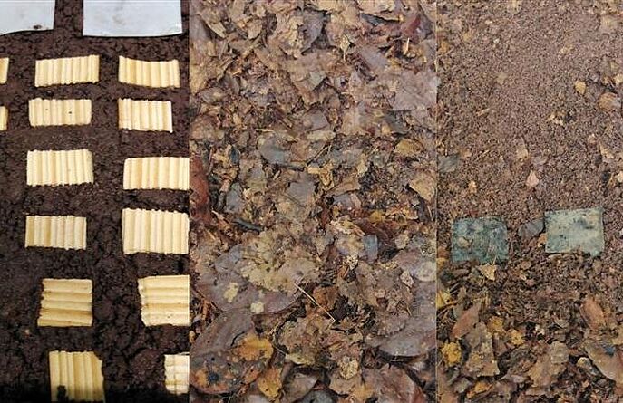 Side-by-side comparison showing test material samples embedded in soil, with the right panel showing visible disintegration under leaf litter after time has elapsed.