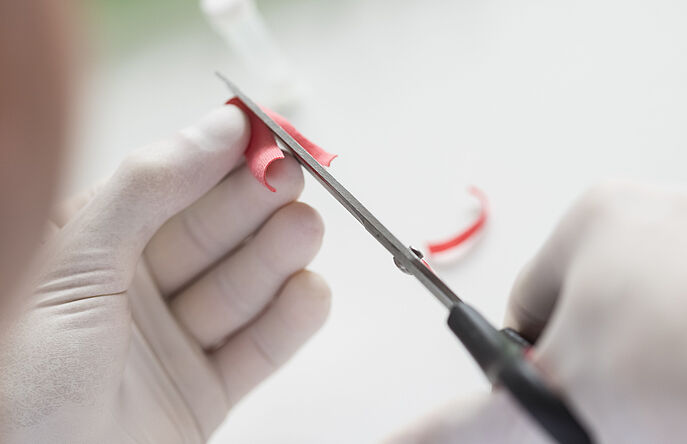 Biologist cutting cotton sample to be tested in lab