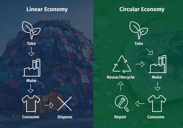 Linear Model showing one way flow: Take-Make-Consume-Dispose. Circular Model shows Take, Make, Consume, Repair, Reuse/Recycle, back to Make