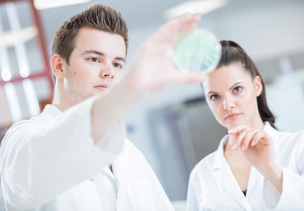 Dos técnicos de laboratorio viendo una placa de petri